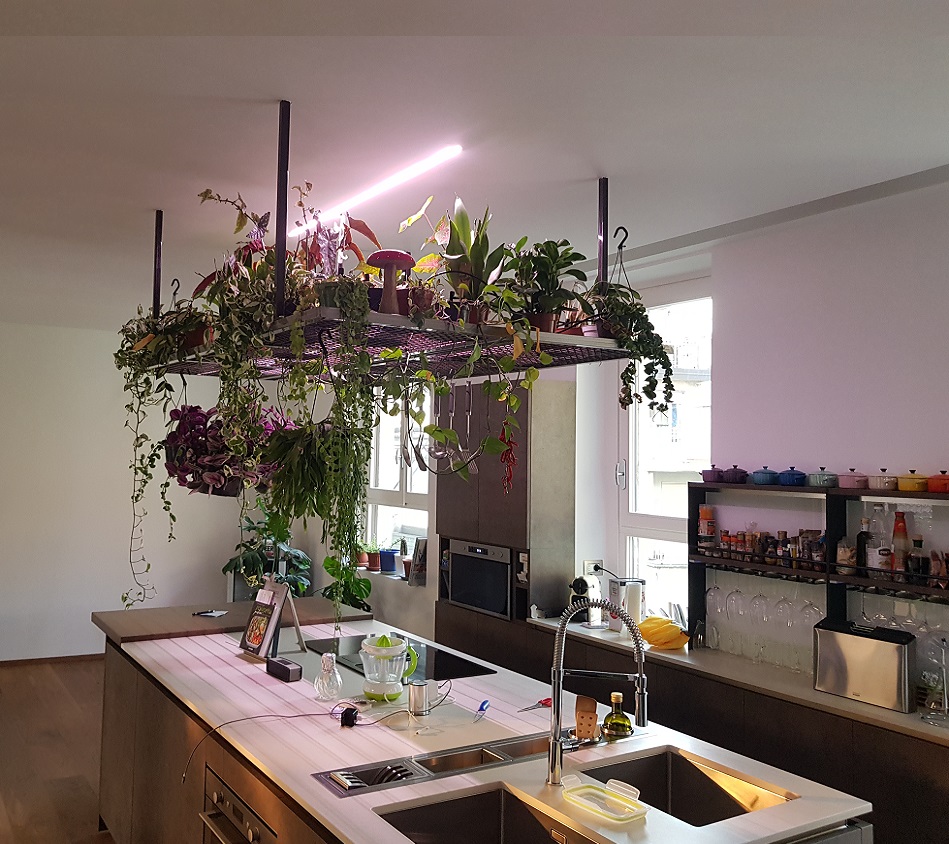 Cucina isola