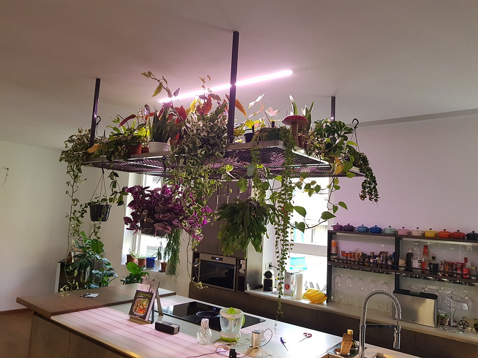 Cucina isola